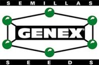 Genex